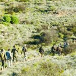 Sawirro: Ciidanka Puntland oo firxadka argagixisada Daacish baacsanaya