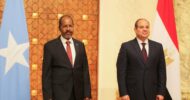 Al-Sisi, Somali President discuss GERD dispute, Red Sea security